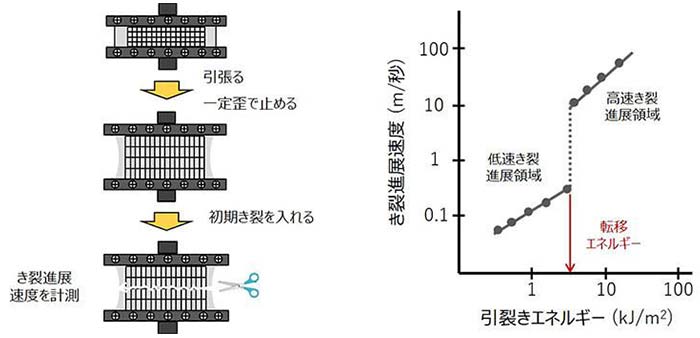 （左）図1：ゴムの強度測定方法の概念図（1）。（右）図2：ゴムの強度測定方法の概念図（2）