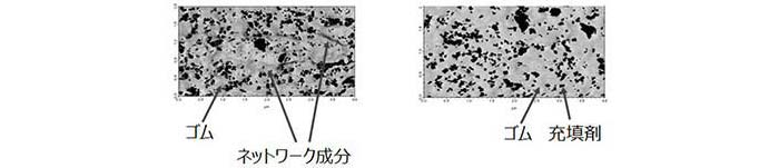 図4： 原子間力顕微鏡位相像（左：制御でネットワークあり、右：制御せずネットワークなし）