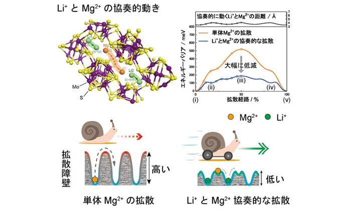 図1. Li+とMg2+の協奏的動きによるMg2+の拡散障壁の低減