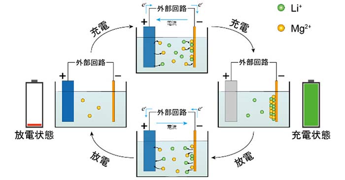 図2. Li-Mgデュアルイオン電池の模式図 充電：Li+とMg2+が正極から放出され、負極に析出する。放電：Li+とMg2+が負極から溶解し、正極に収容される。