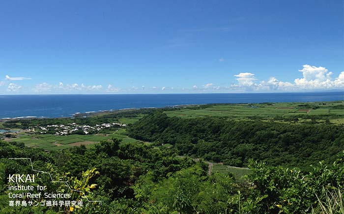 隆起サンゴ礁の島から環境保全を考える！地域協働型「喜界島エコフィールドツアー」