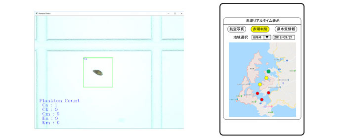 画像解析による有害プランクトンの識別および計数（左）とリアルタイム通知システム（右）