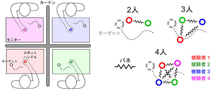 図1.ロボットインターフェースを通じて2、3、4人の集団でランダムに動くターゲットを追従させ、各被験者の追従パフォーマンスの変化を評価する。