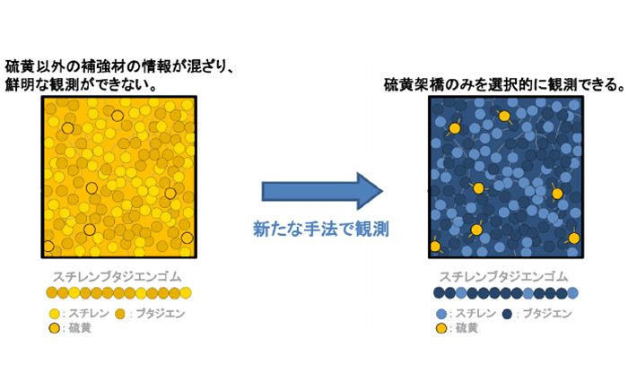 スチレンブタジエンゴム(SBR)内部の硫黄架橋の粗密観測イメージ