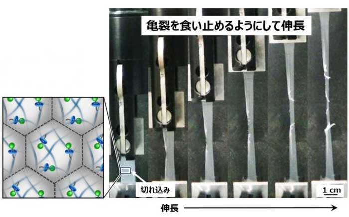 研究で作製した微粒子フィルムの切れ目からの引裂試験の様子。